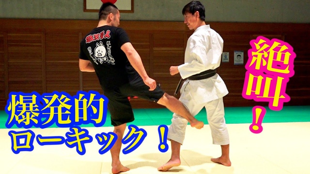 How to use Ancient Karate Kata for the low kick(with various language subtitles)