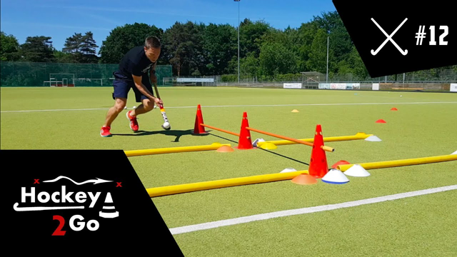Field hockey 12  | 3D hockey skills