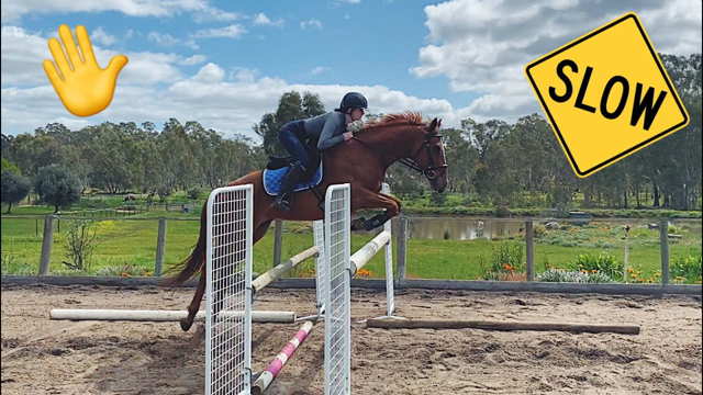 HOW TO STOP A HORSE RUSHING TO JUMPS