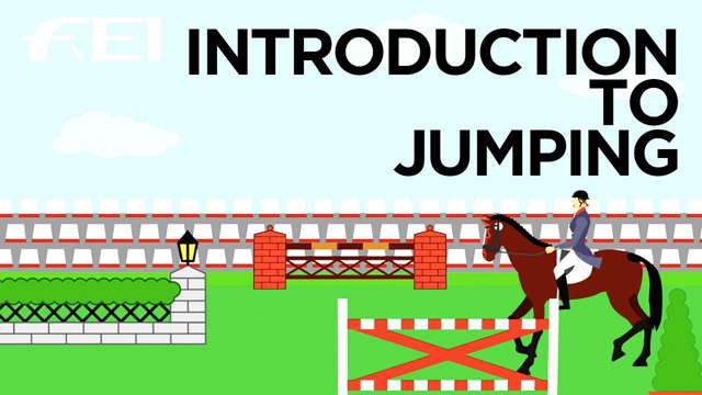 The ultimate Show Jumping guideline!