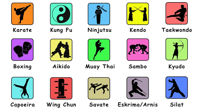 Every Martial Arts explained in 9 minutes - Part1