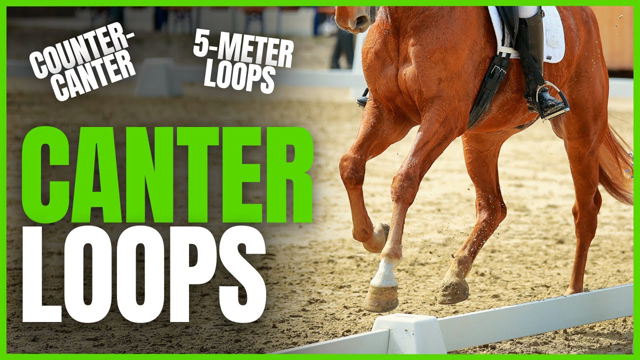 Riding COUNTER-CANTER during CANTER LOOPS From The Complete Online Dressage Course | How To Dressage